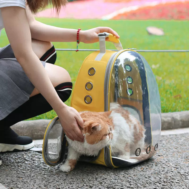 Cat Carrier Bag