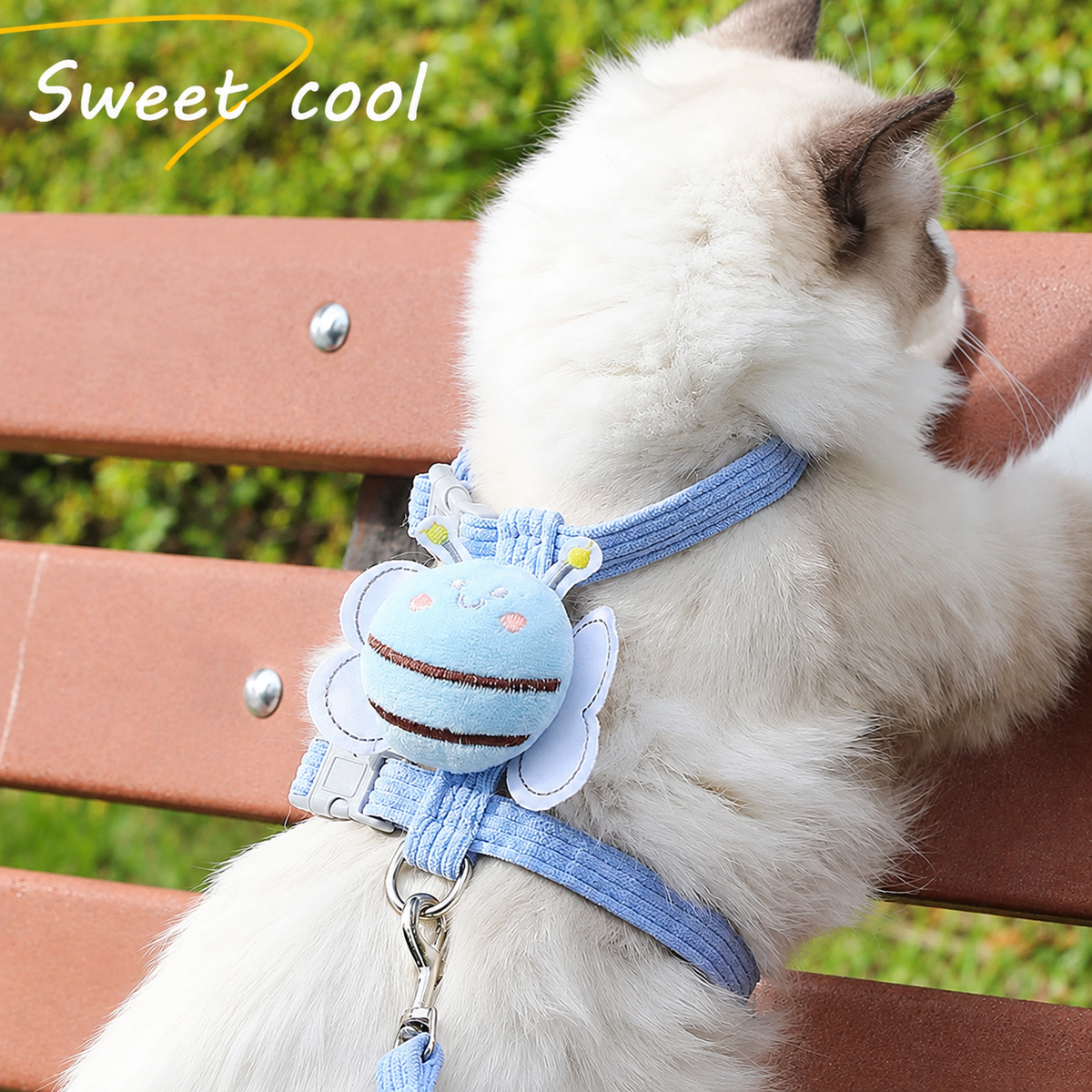 Cat Harness & Leash Set