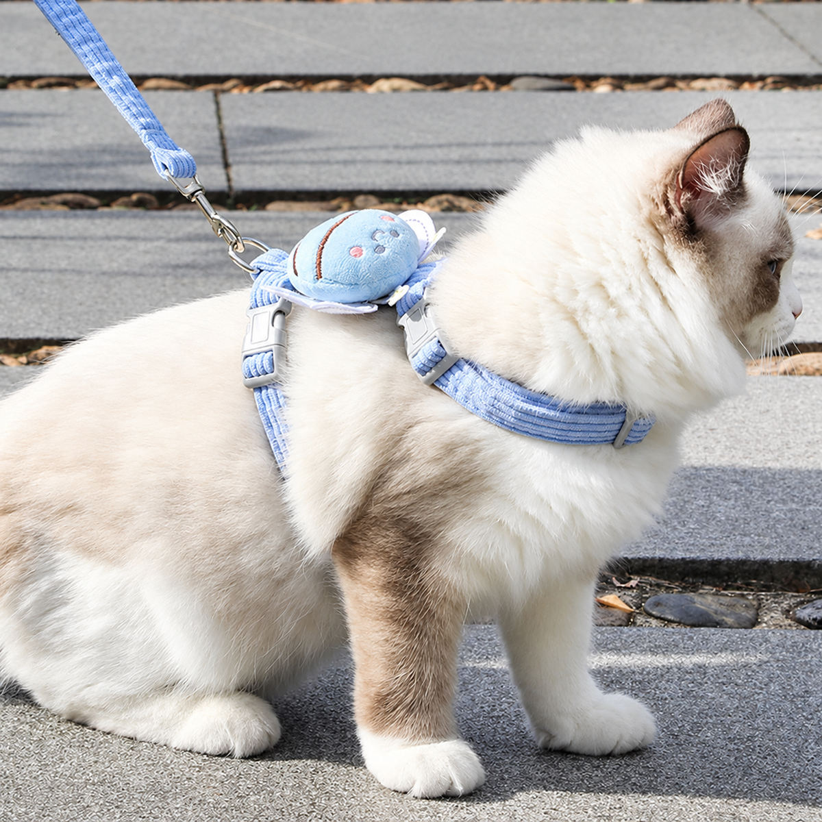 Cat Harness & Leash Set
