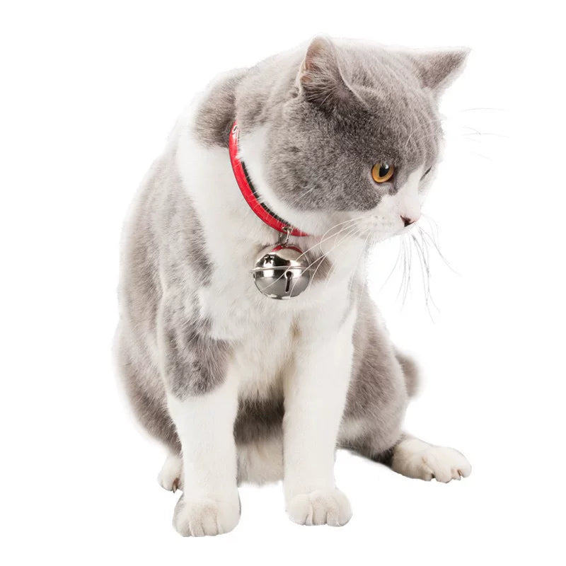 Cat Bell Collar