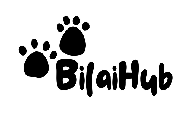 BilaiHub